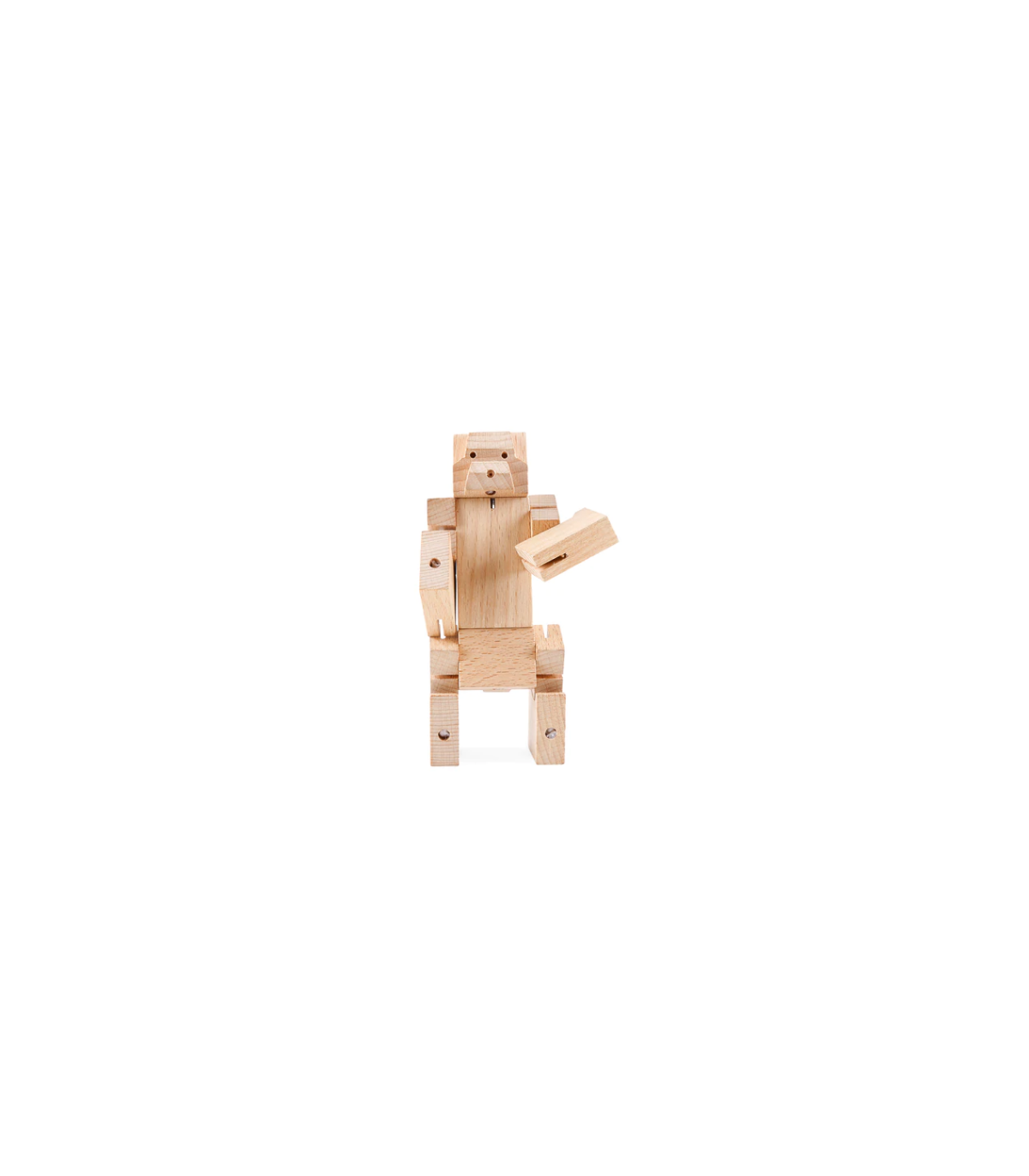 Medvěď v kostce