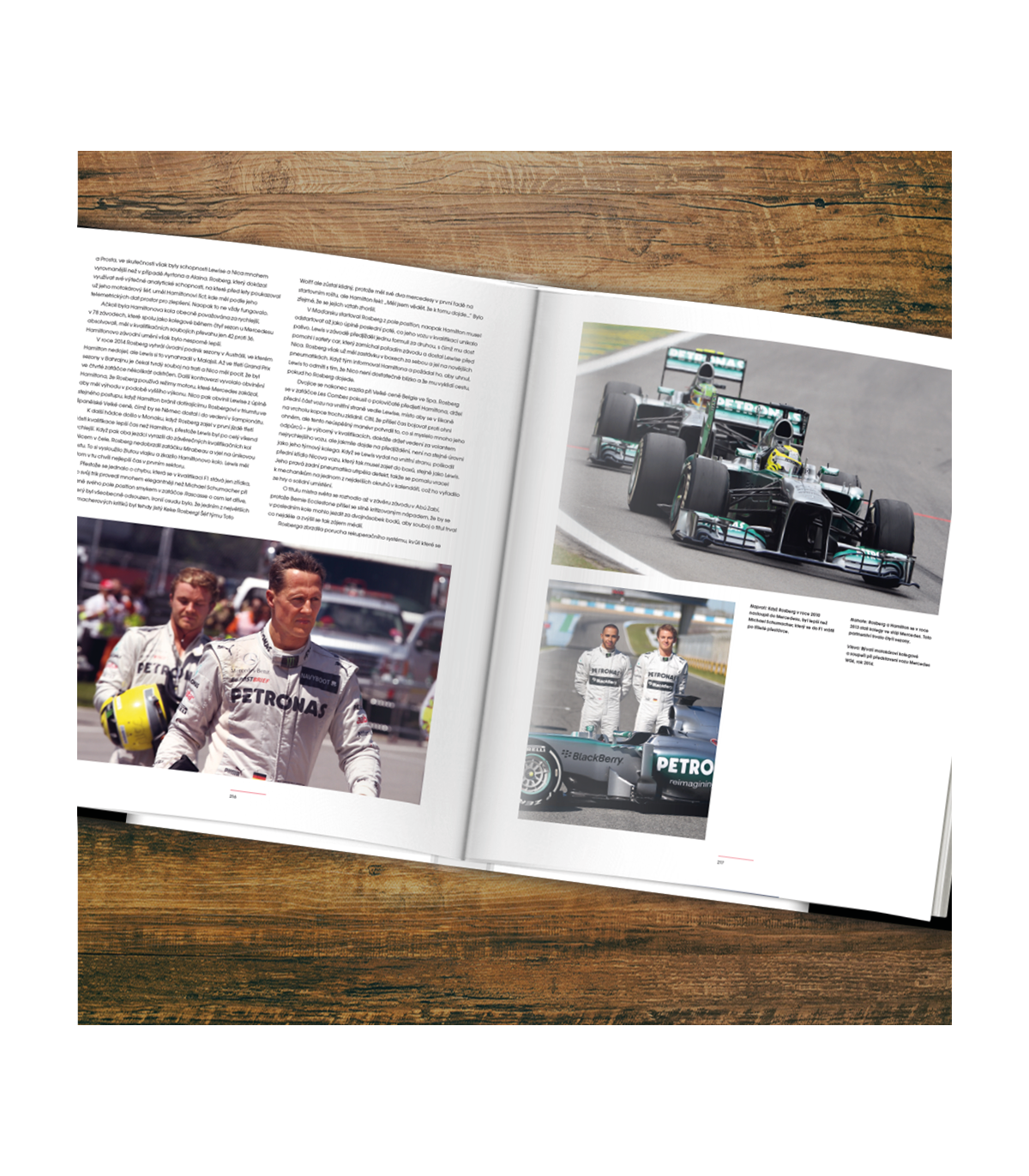 Formule 1 - Rivalové