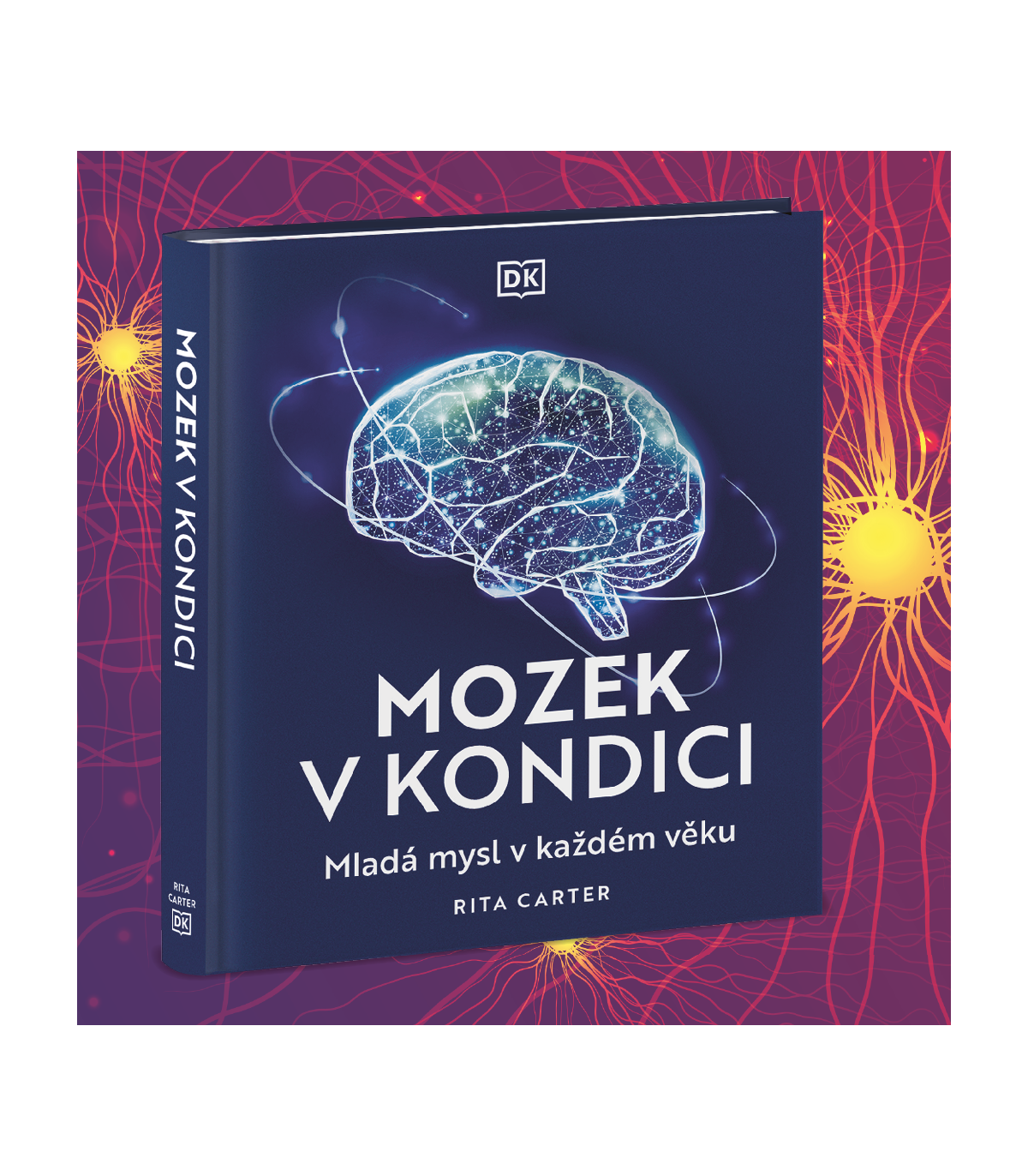 Mozek v kondici