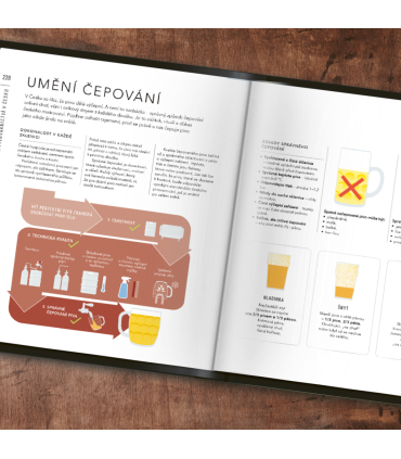 Bible piva