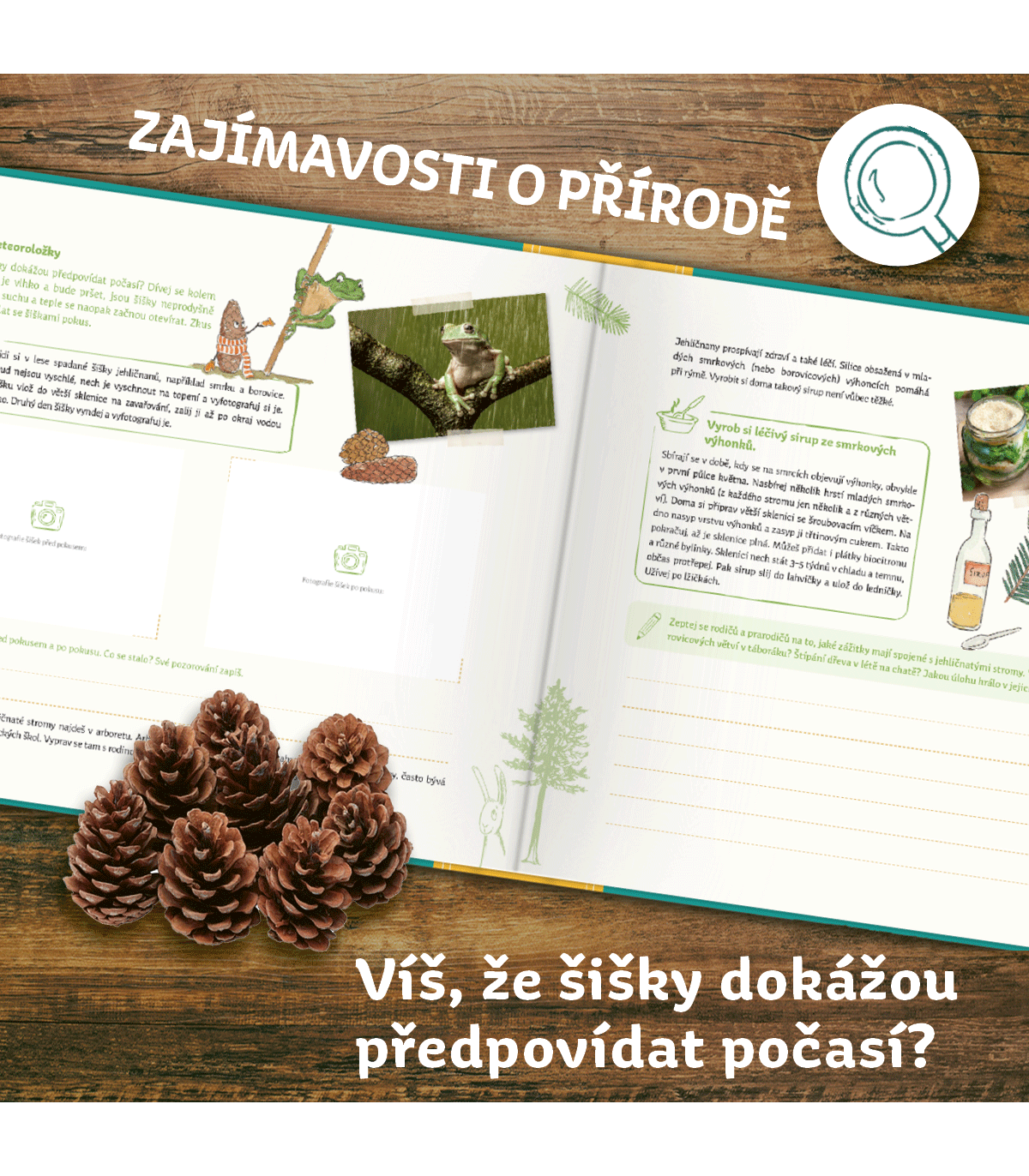Můj atlas zvířat a rostlin - Kniha, kterou si děti dotváří samy