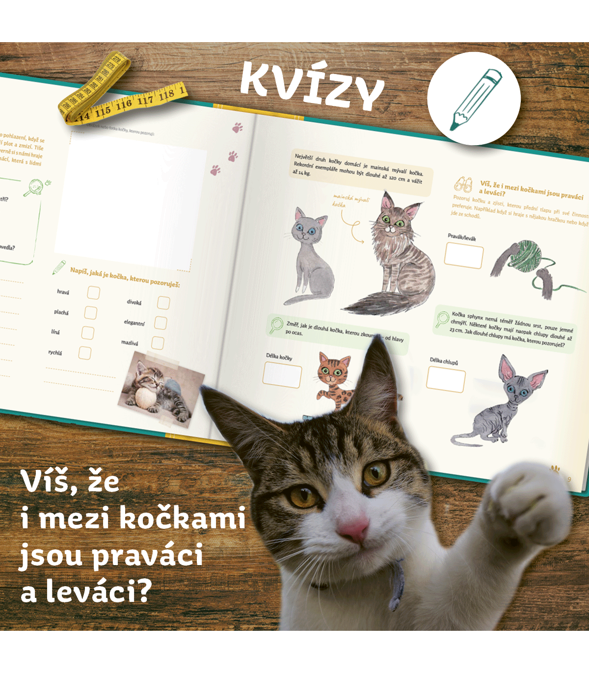 Můj atlas zvířat a rostlin - Kniha, kterou si děti dotváří samy