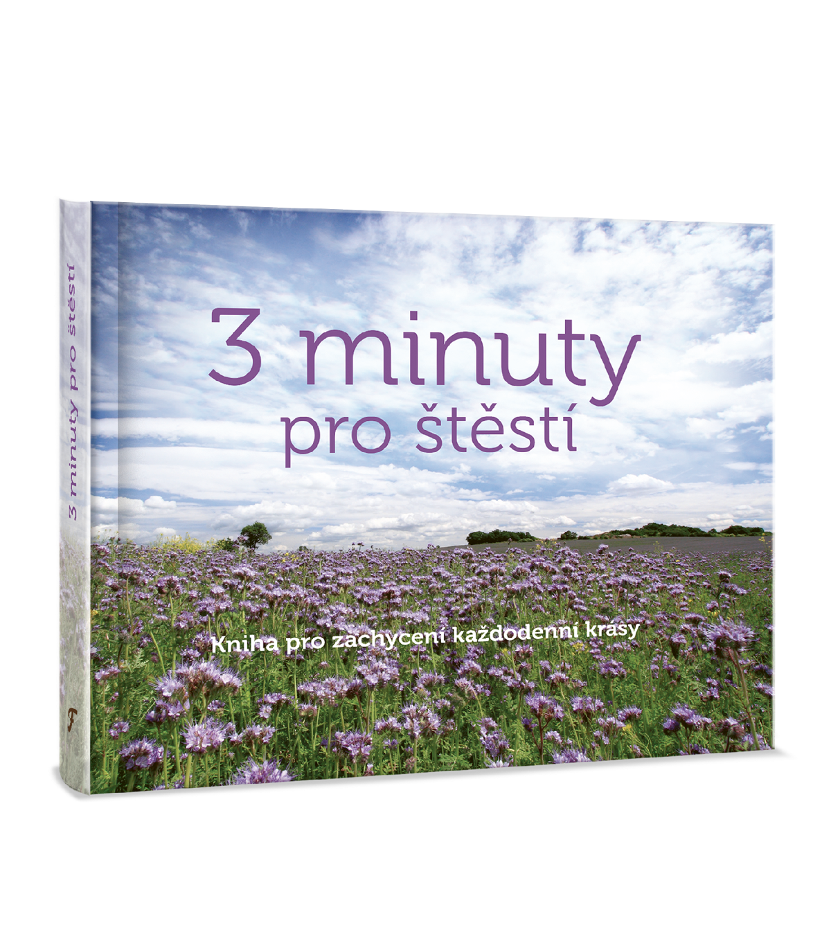 3 minuty pro štěstí - Kniha pro zachycení každodenní krásy